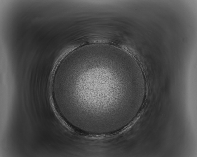 X0000085800049200703231339