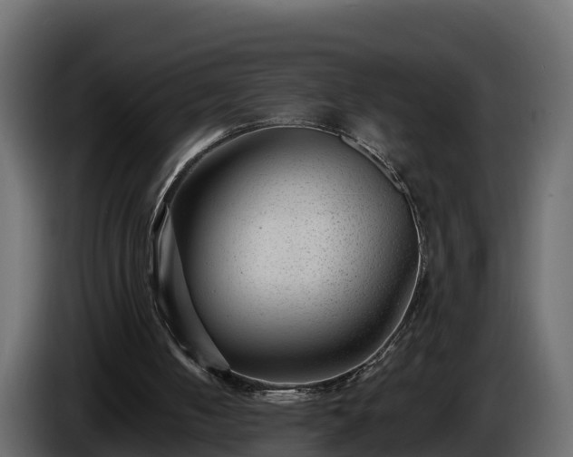 X0000085800050200703231339