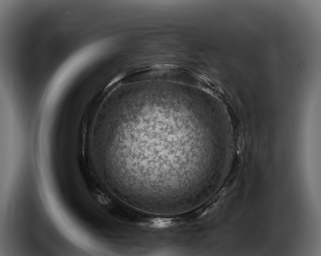 X0000085800052200703231339