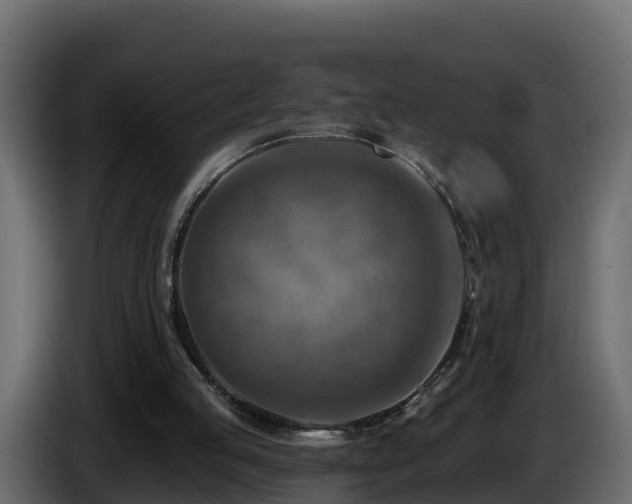 X0000085800053200703231339