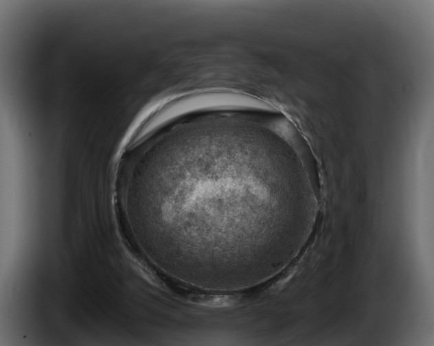 X0000085800056200703231339