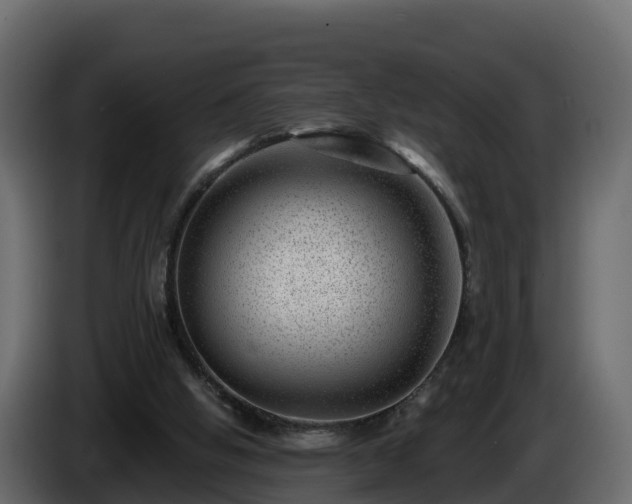 X0000085800058200703231339