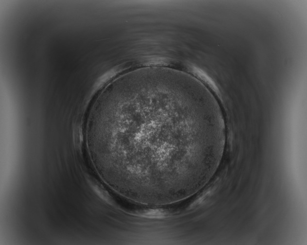 X0000085800059200703231339