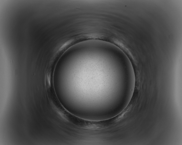 X0000085800062200703231339
