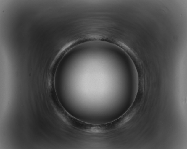 X0000085800064200703231339