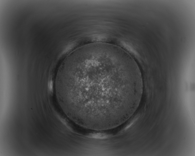 X0000085800067200703231339