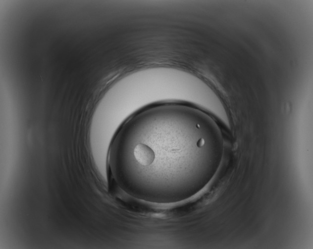 X0000085800068200703231339