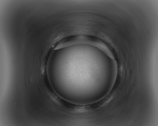 X0000085800072200703231339