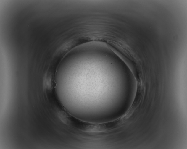X0000085800074200703231339