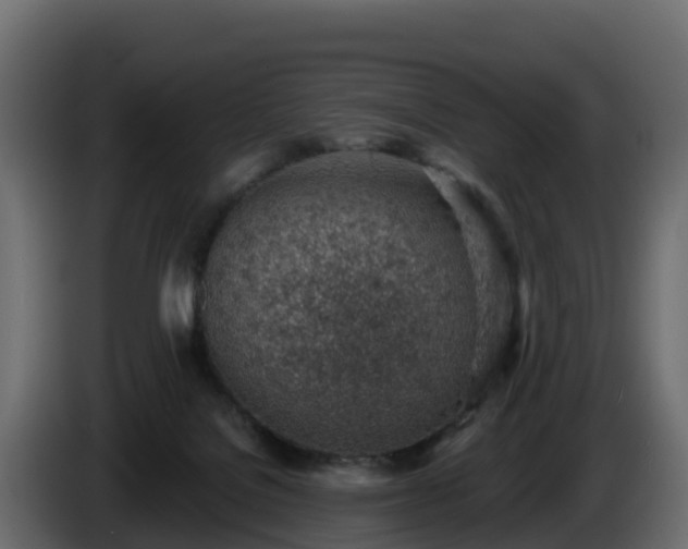 X0000085800076200703231339