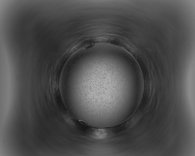 X0000085800091200703231340