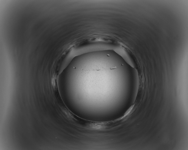 X0000085800094200703231340
