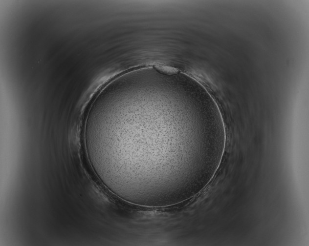 X0000085800098200703231339