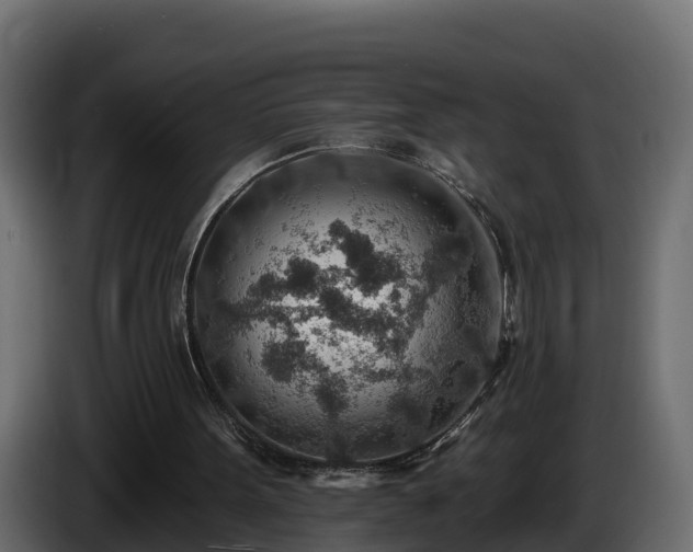 X0000085800099200703231339