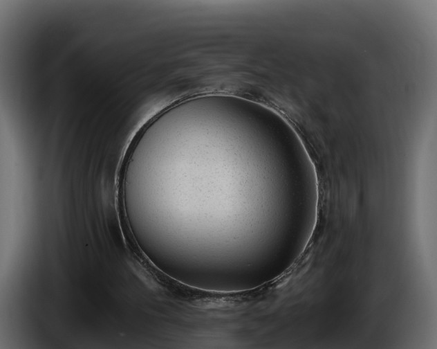 X0000085800100200703231339