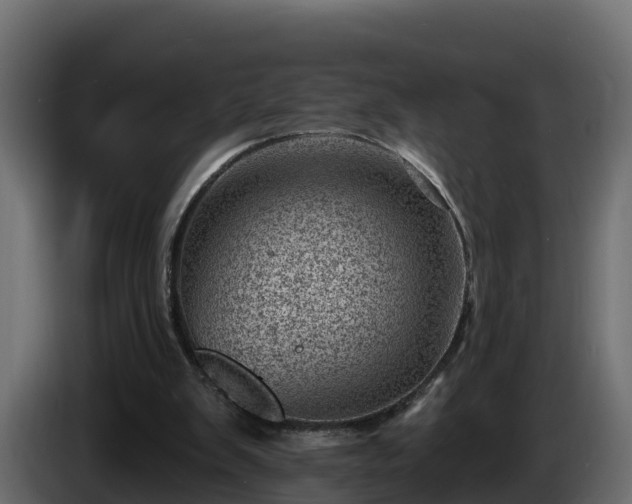 X0000085800103200703231339