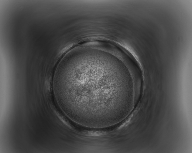 X0000085800105200703231339