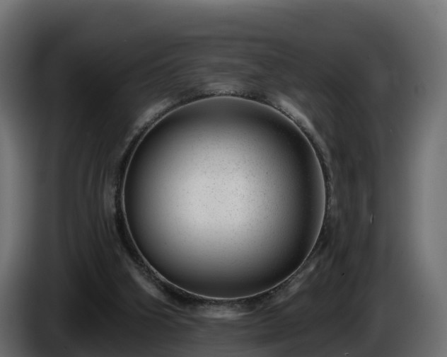 X0000085800106200703231339