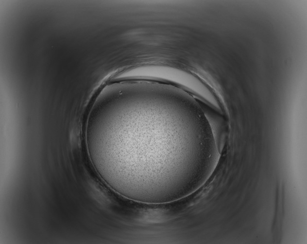 X0000085800107200703231339