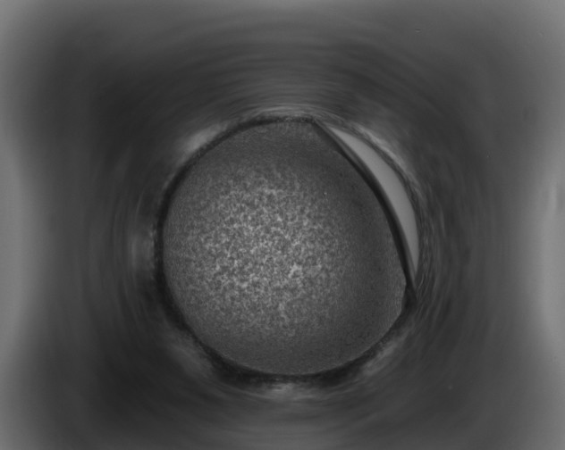 X0000085800111200703231339