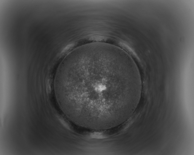 X0000085800114200703231339