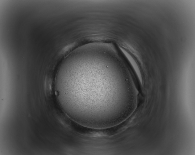 X0000085800115200703231339