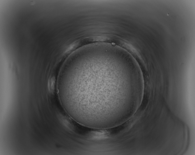 X0000085800118200703231339