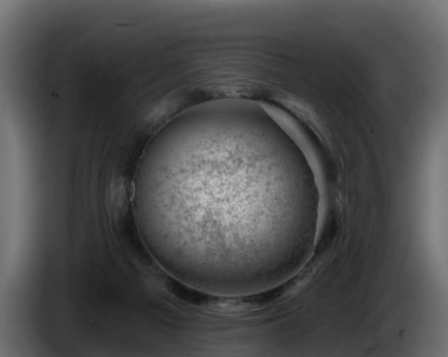 X0000085800121200703231339