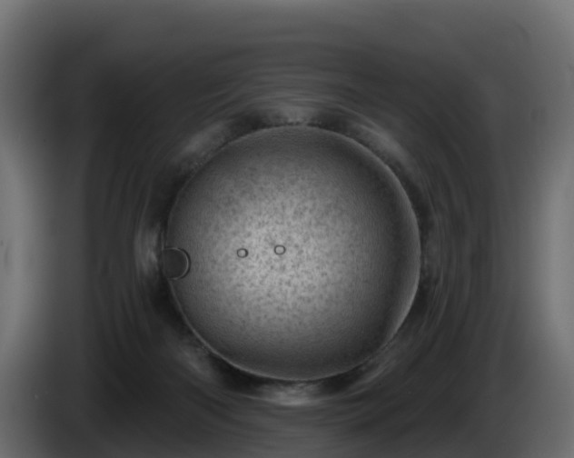 X0000085800122200703231339