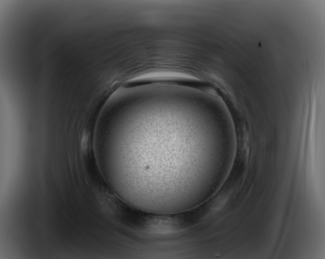 X0000085800123200703231339
