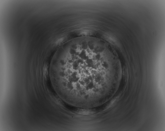 X0000085800127200703231339