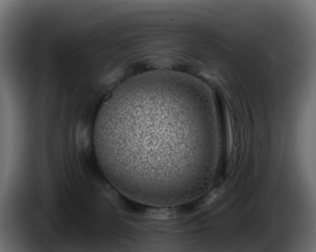 X0000085800131200703231339