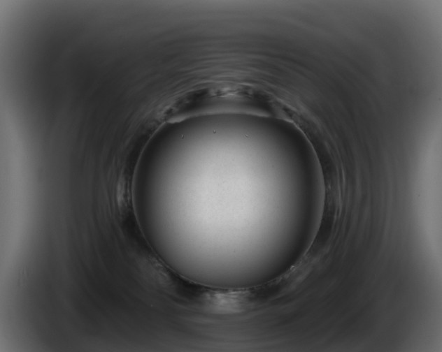 X0000085800134200703231339