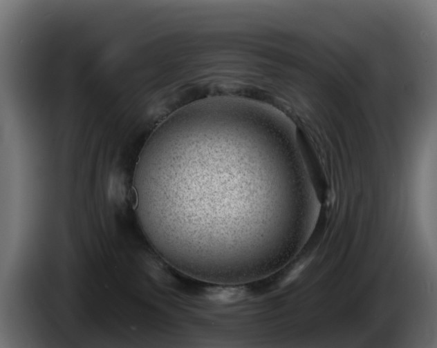 X0000085800135200703231338