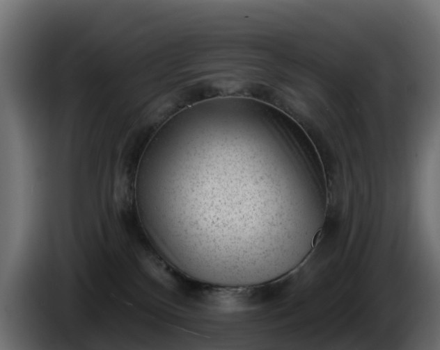 X0000085800136200703231338