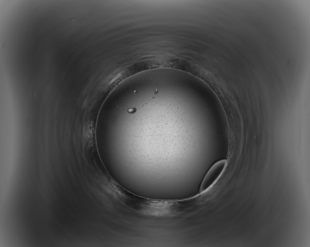 X0000085800144200703231338