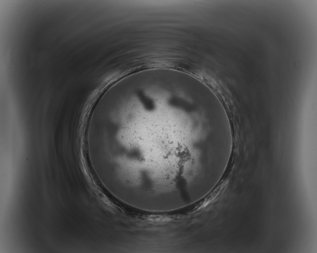 X0000085800145200703231338
