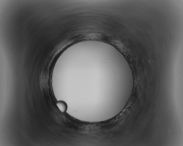 X0000085800146200703231338