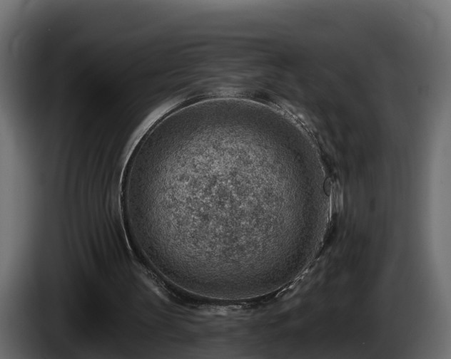 X0000085800147200703231338
