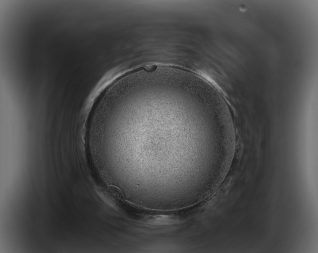 X0000085800151200703231338
