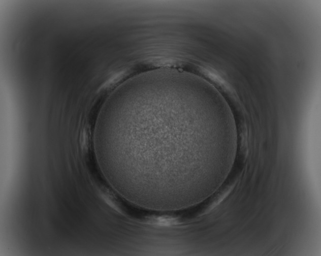 X0000085800165200703231338