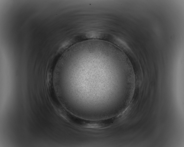 X0000085800171200703231338