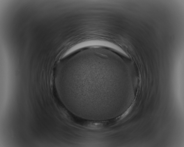 X0000085800174200703231338
