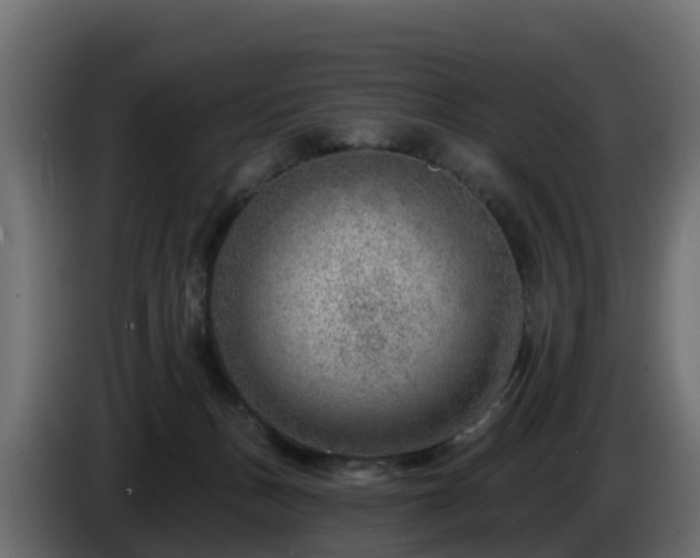 X0000085800175200703231338