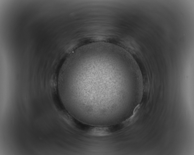 X0000085800179200703231338