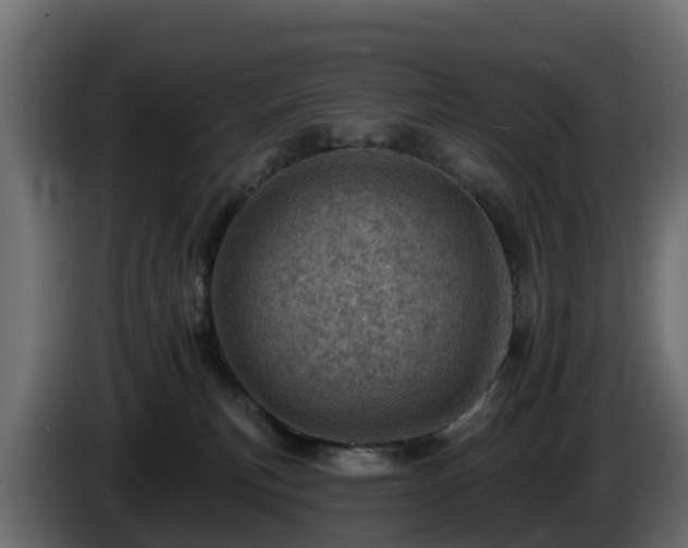 X0000085800183200703231338