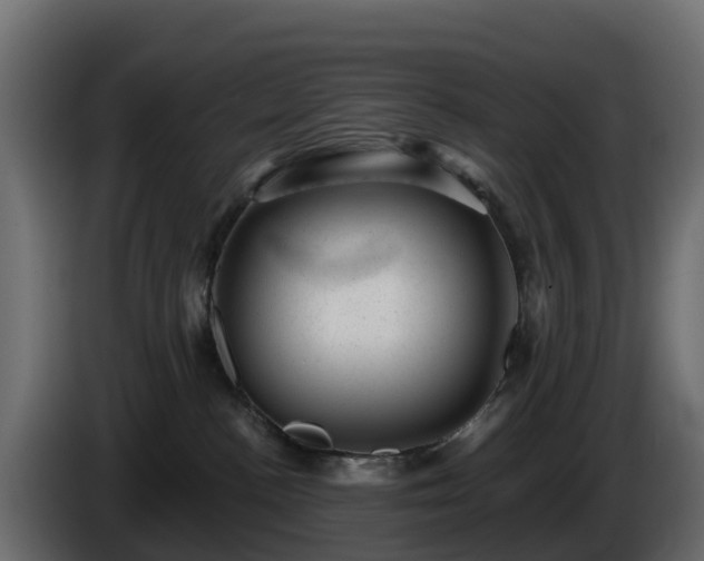 X0000085800188200703231338