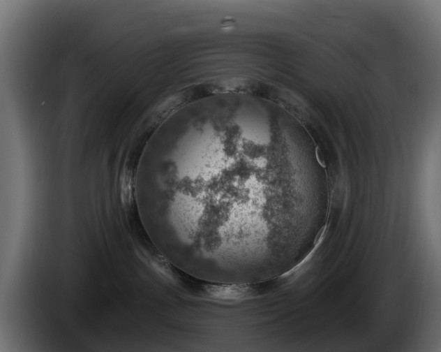 X0000085800191200703231338