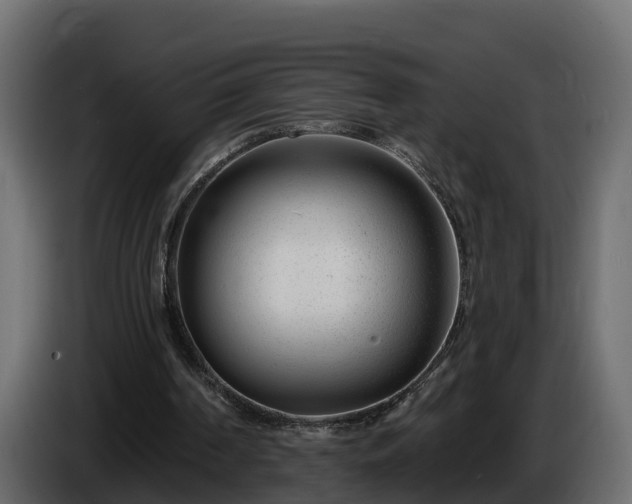 X0000085800194200703231338