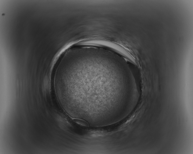 X0000085800200200703231338
